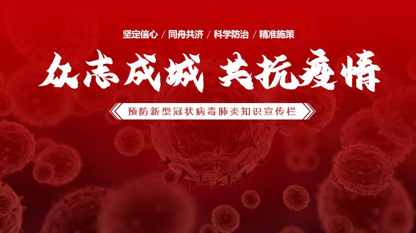 新手如何做ppt2019,经验分享思路ppt