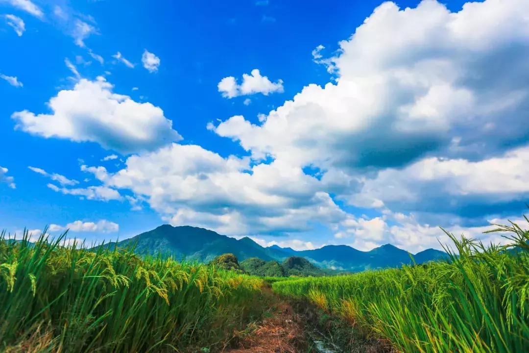 广东居然藏着一个神秘天坑,广东这座小镇藏着多少宝藏