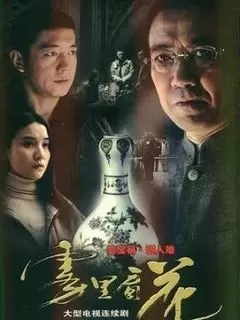 推荐几部关于古玩的电影电视剧,古玩爱好者应该看的电视剧