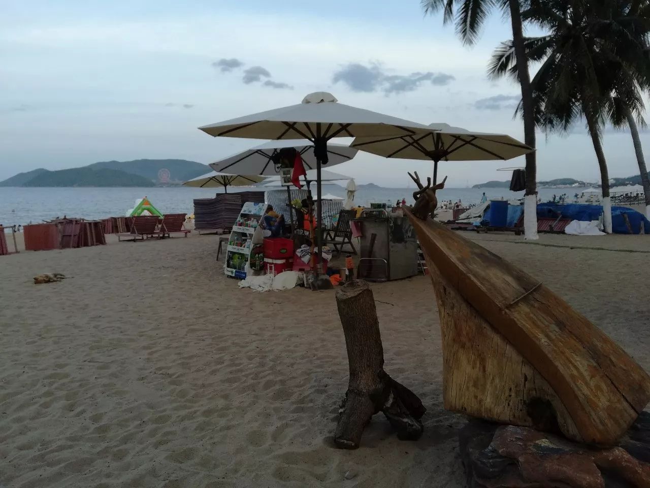 越南小伙变千万富翁,中国小伙在越南成首富