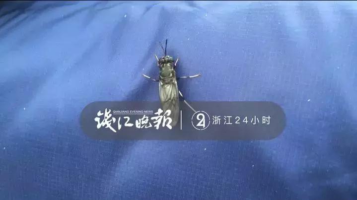 浙大博导年收入多少,浙大博士一辈子可以赚多少钱