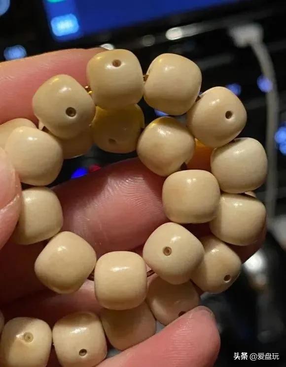 星月菩提没有星的是什么品种,星月菩提只有星没有月