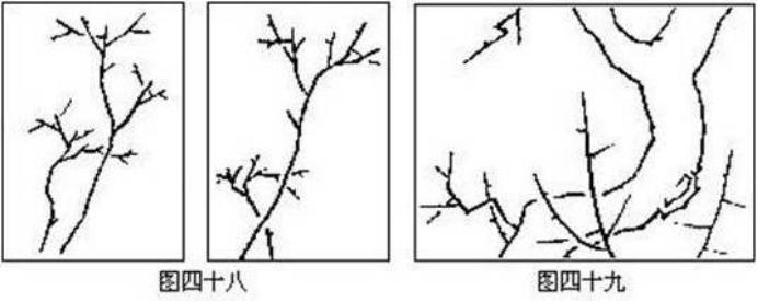 梅花画法简笔画,梅花画法的视频