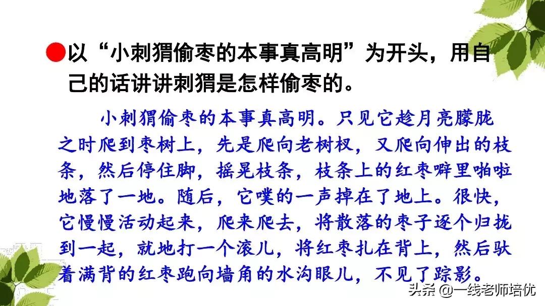 三年级语文带刺的朋友课堂笔记,带刺的朋友三年级上册