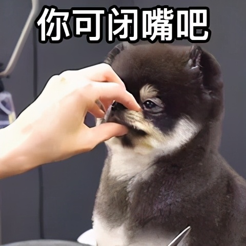 英国曼彻斯特大学环发学院怎样,曼大环发学院回国认可度