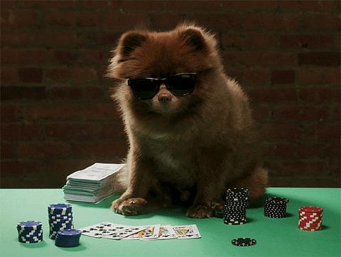 周二赛事法乙深度解析,31日法乙联赛比分预测分析