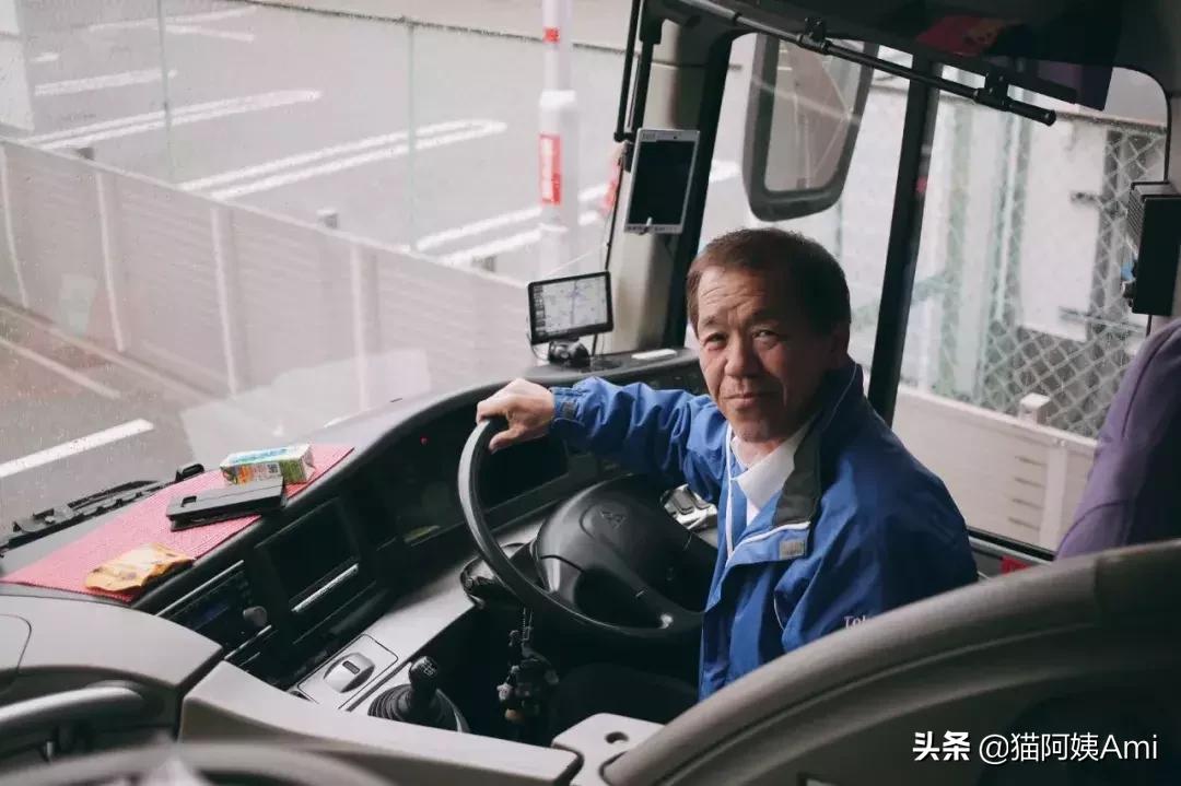 日本奈良喂小鹿时鞠躬砸到头,日本奈良神鹿公园游记