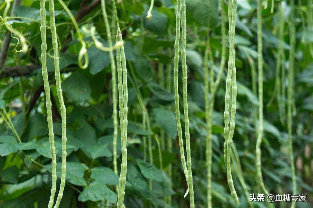 同时能降血压和降糖蔬菜有哪些,降糖降压的蔬菜和水果有哪些