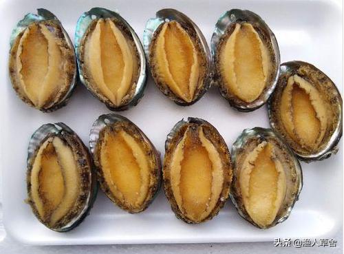 辽宁大连有什么土特产品,大连特产农产品标志