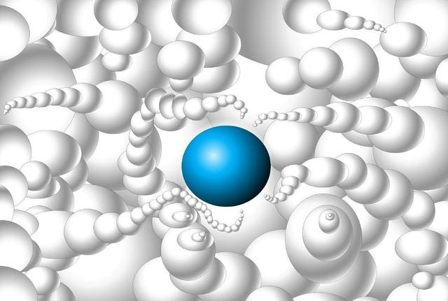 动物没有思想为什么要繁育后代,动物为什么没接受教育