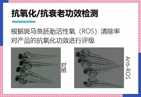国货眼霜推荐前十名小红书,小红书里超补水的眼霜有哪些