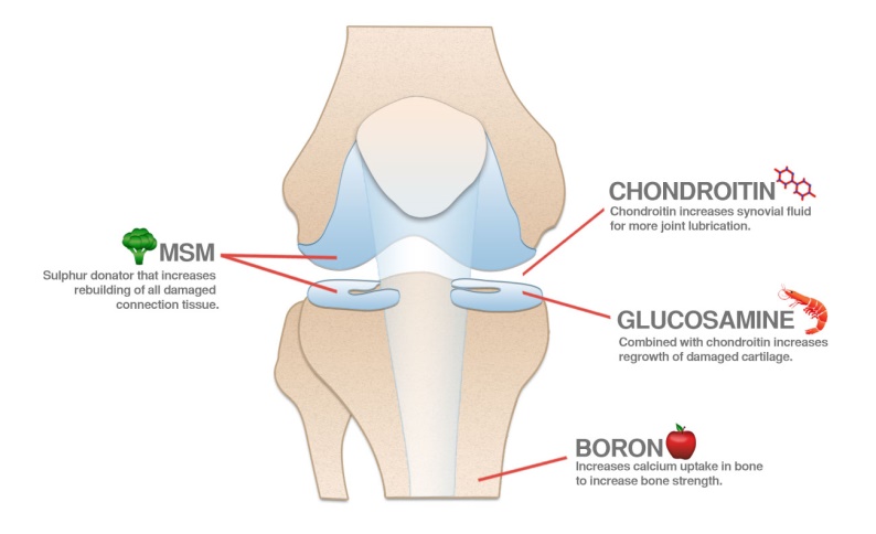 膝骨关节炎吃氨糖软骨素钙片好吗,膝盖痛吃氨糖好还是氨糖软骨素好