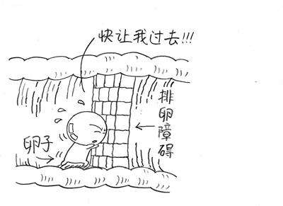 为什么总是不怀孕看什么科,为什么总是不怀孕呢