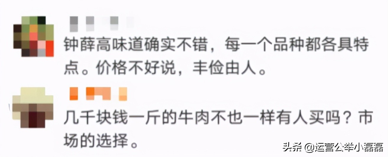 一支雪糕为何能这么贵,一支雪糕1000块