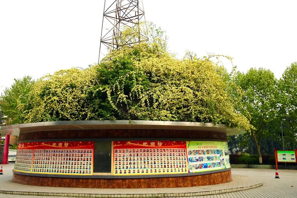 2023年四七九能全省招生吗,四七九自主招生录取线