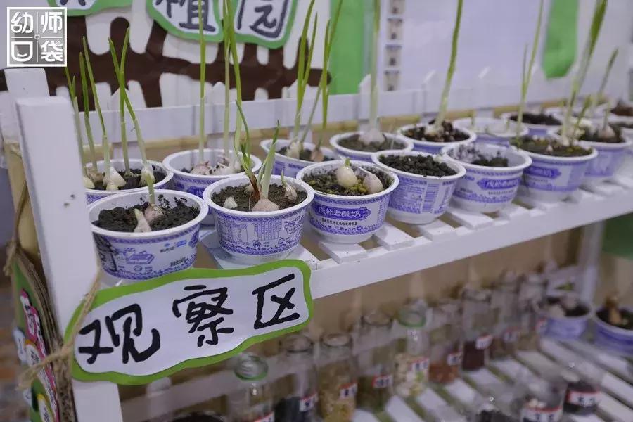 特色幼儿园活动区,高端幼儿园特色活动