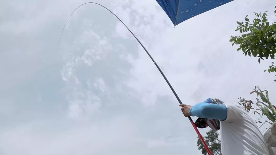 红狼怒戟,红狼怒戟参数