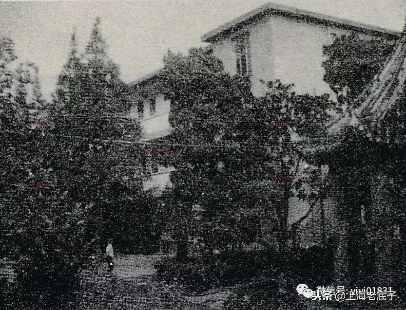 「川沙县篇」回望上世纪八九十年代的上海学校，有侬的母校伐？