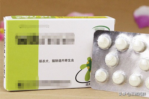 小鹿犬幼犬拉的什么便便,小鹿犬得细小怎么办