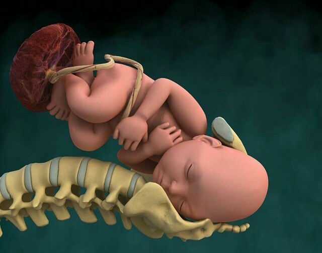 怀孕38周生孩子是早产还是足月,怀孕38周要生了去医院检查