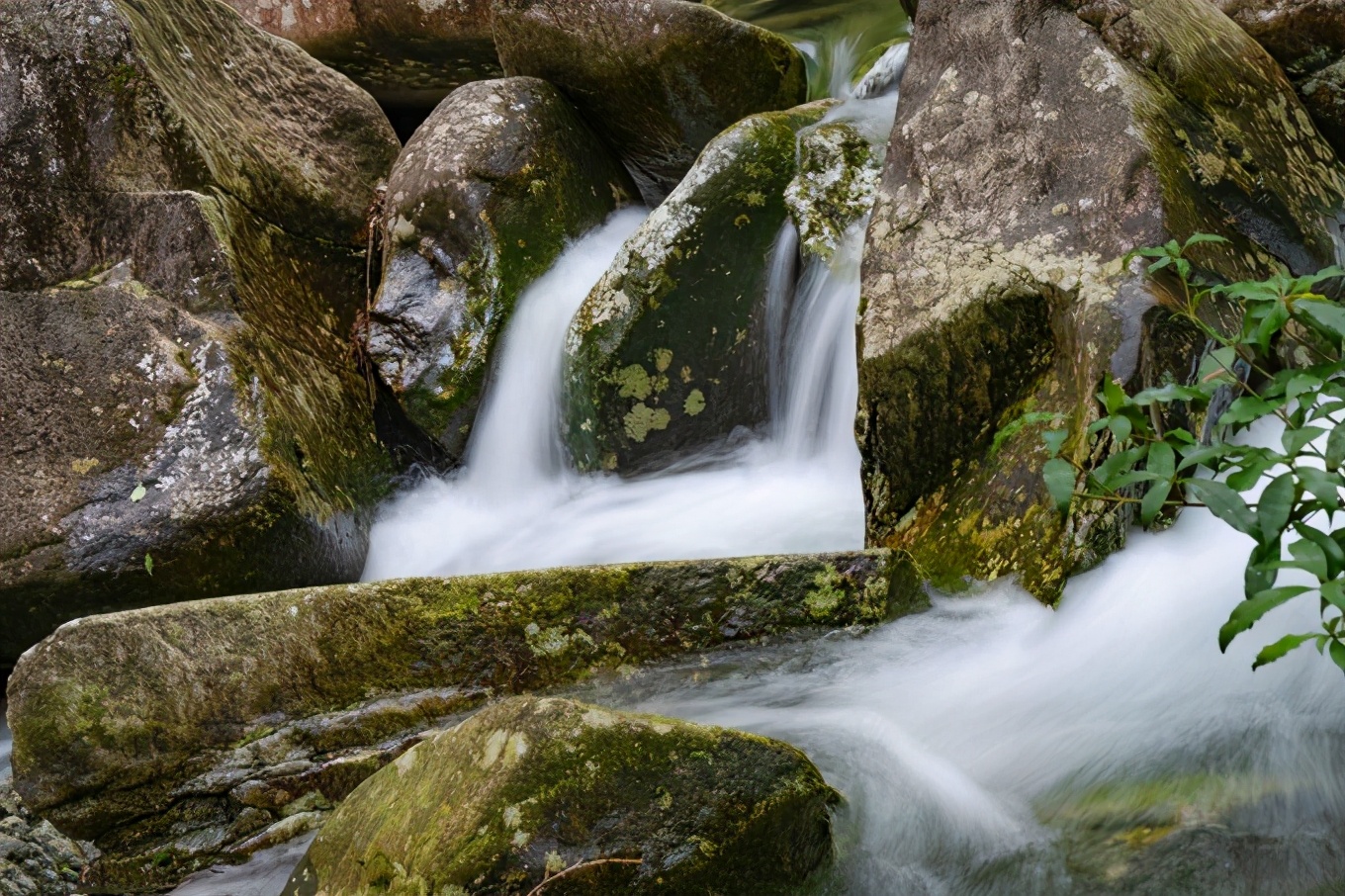 雁荡山旅游攻略三日游价格,雁荡山一日游最佳攻略
