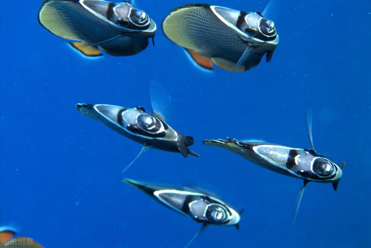 智慧物流十大创新公司,全球最具创新能力的十大公司