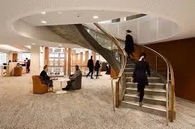 留学生在国外的乱象,留学生的乱象