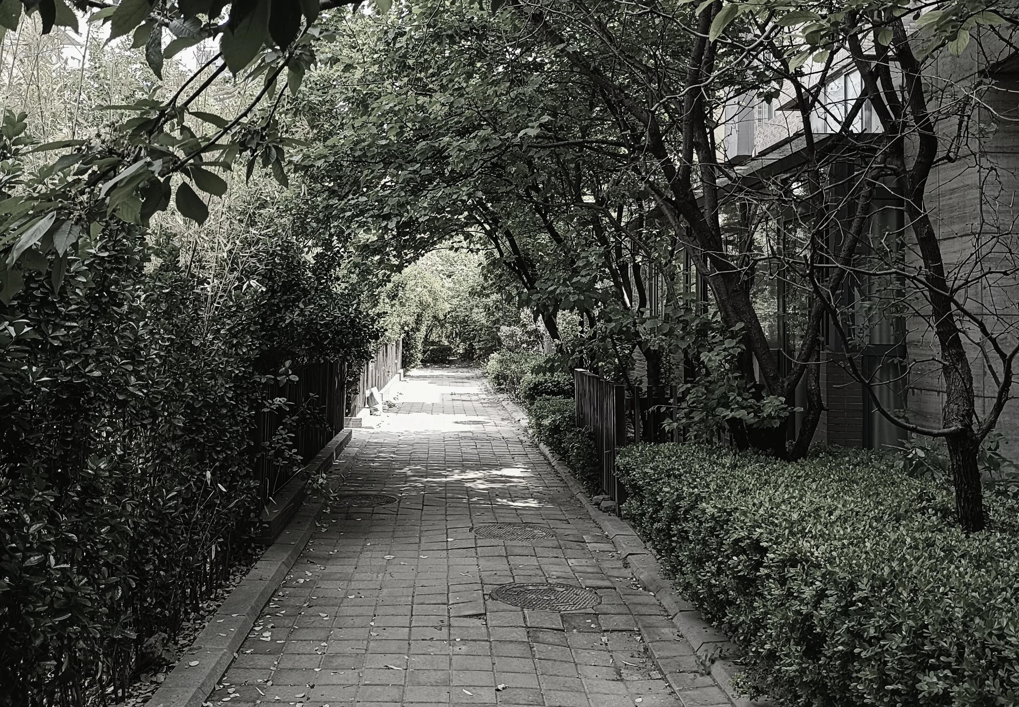 90后婚姻观不想结婚,90后不正常的婚恋观