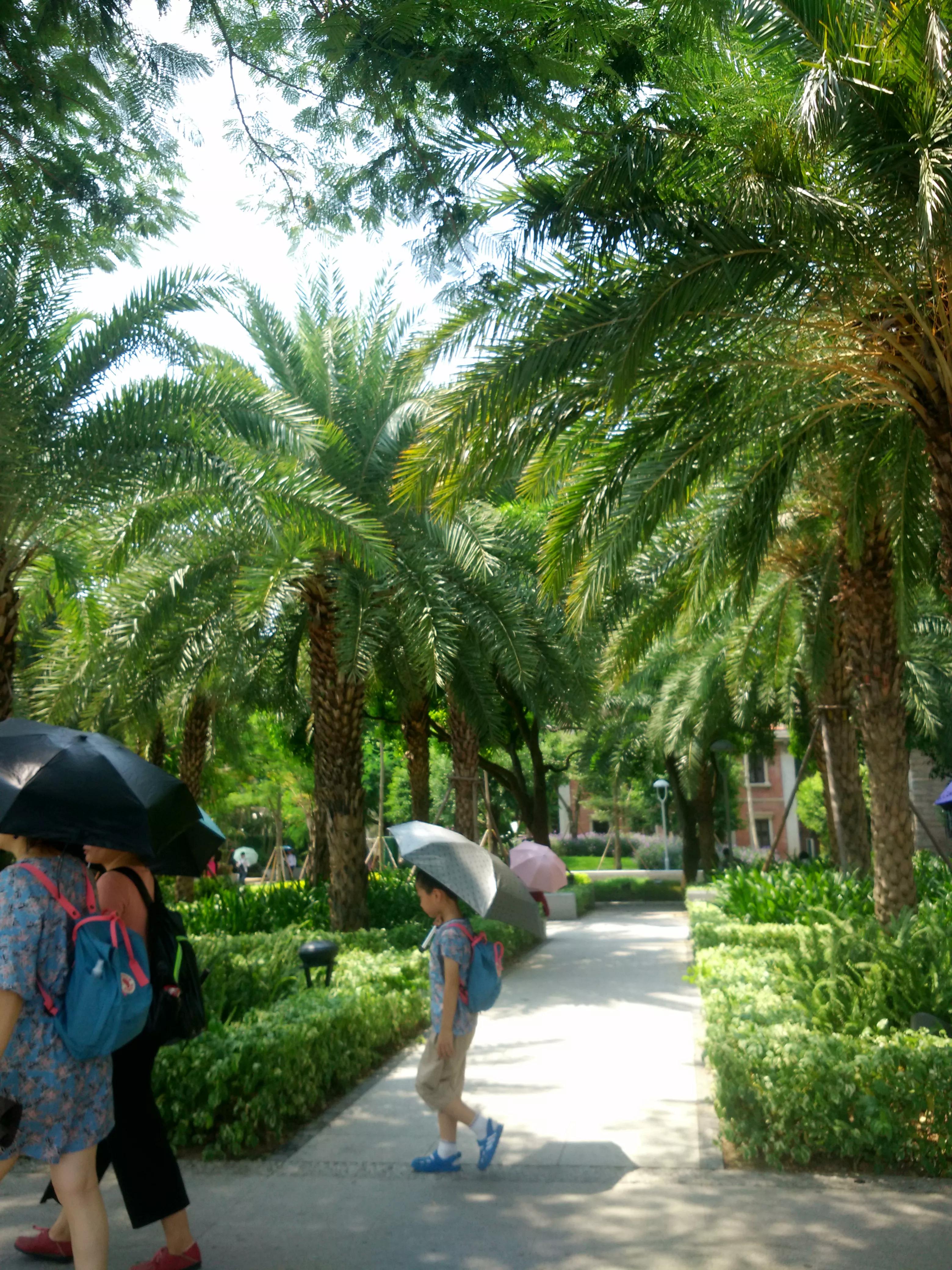 厦门鼓浪屿旅游攻略厦门大学,厦门岛金门岛鼓浪屿尽收眼底