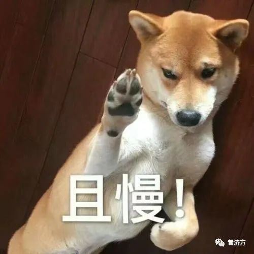 怀孕真的不能养猫养狗吗,怀孕不可以养老鼠吗