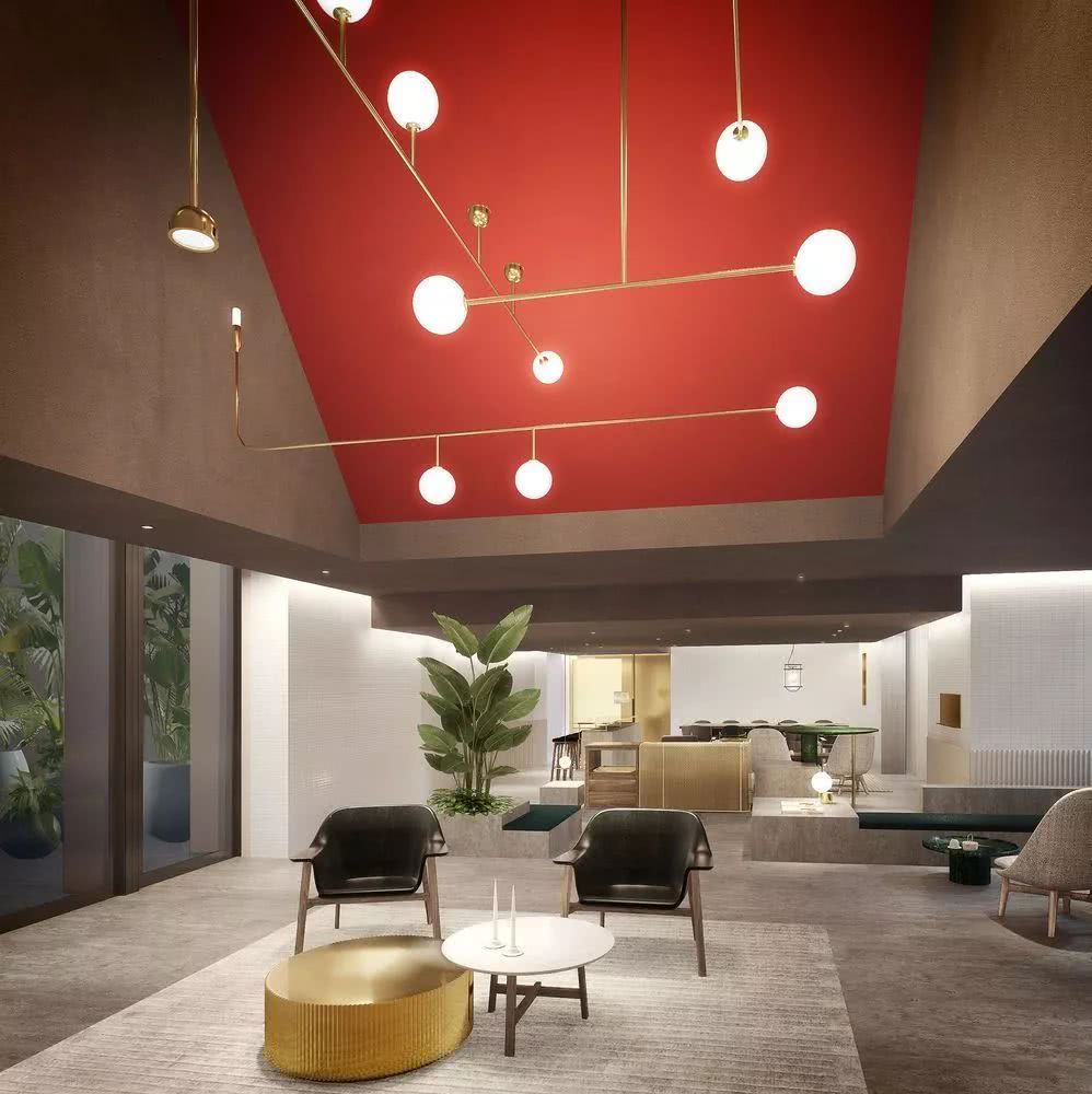 酒店速报||台北大安,棋盘格,张钧甯和羊驼