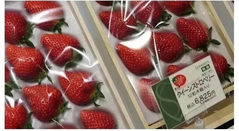 黑莓的分类及危害,黑莓缺点