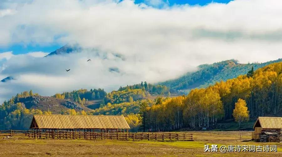人生感悟的古诗励志句子,励志人生短句古诗