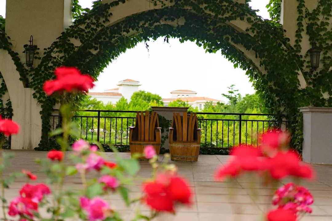 蓬莱美如画,蓬莱美景