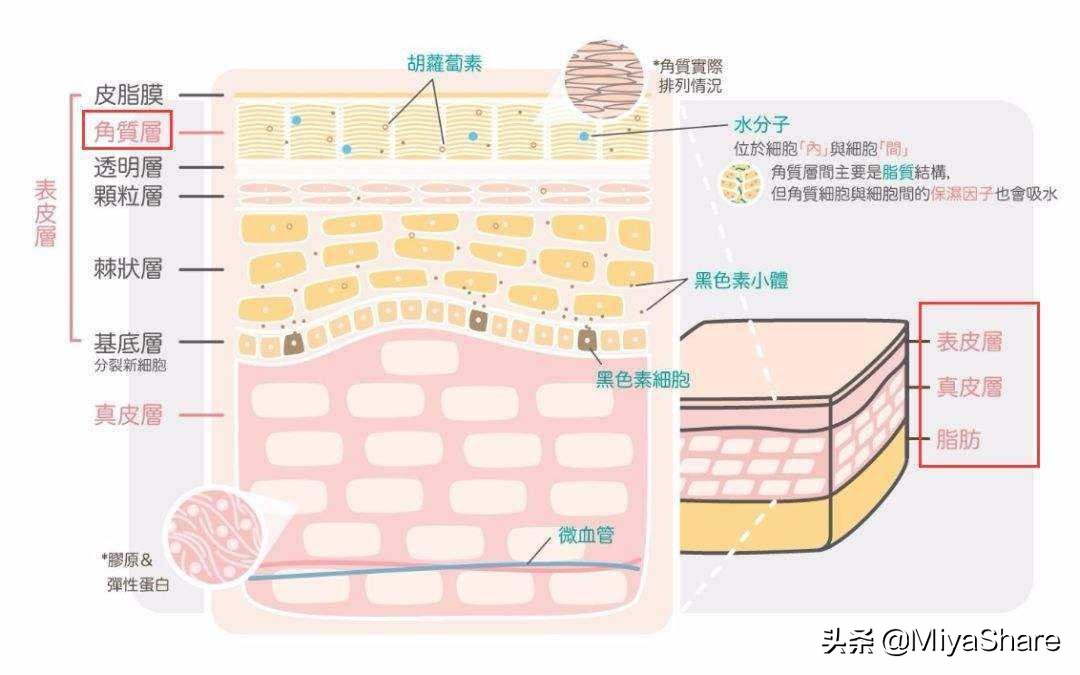 fancl卸妆油好用吗,卸妆油推荐测评mac
