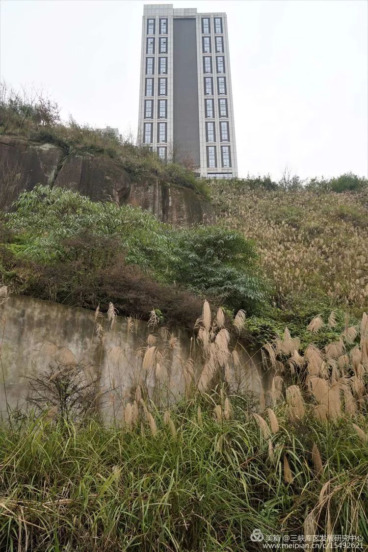 北碚复兴镇最近的视频,重庆市北碚龙门桥