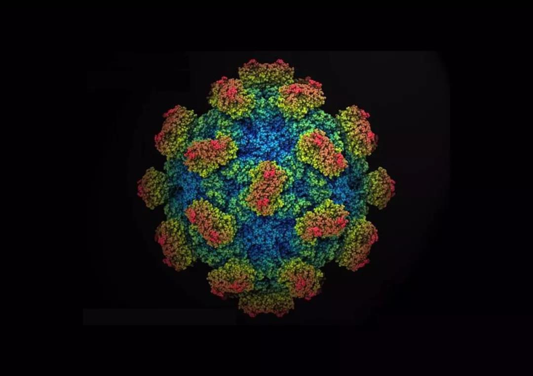 阿根廷出血热症状表现,阿根廷出血热临床表现