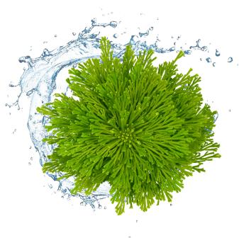 平价婴儿面霜测评,婴儿面霜推荐老爸评测