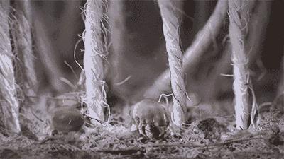 口周长脓痘什么原因,口周长脓性痘是什么原因