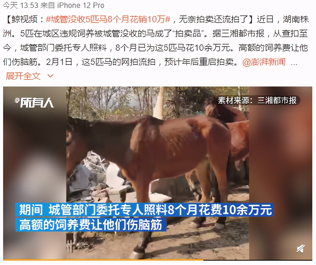 阿里拍卖能捡到便宜吗,阿里拍卖的东西靠谱么