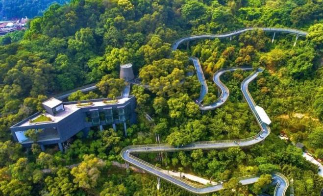 南阳宝天曼旅游景区照片,南阳宝曼天最美风景