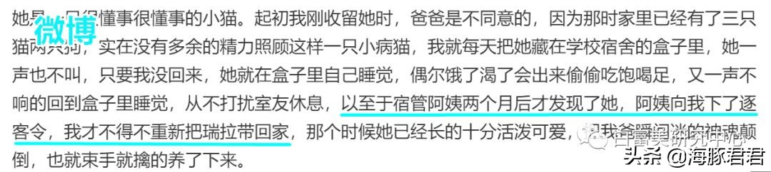 北京小公主靠吸猫血成百万大V,直播整容、大照骗、2年养死3只猫