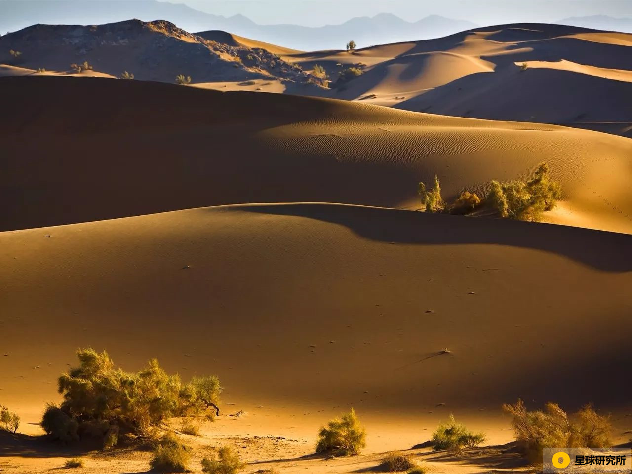 甘肃荒凉风景视频,甘肃荒凉的美景