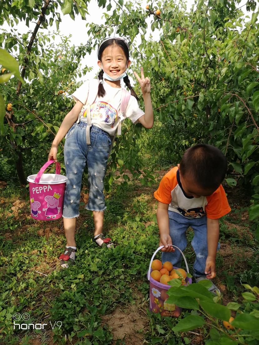 新时代好少年个人先进事迹简介,十佳少年先进事迹材料