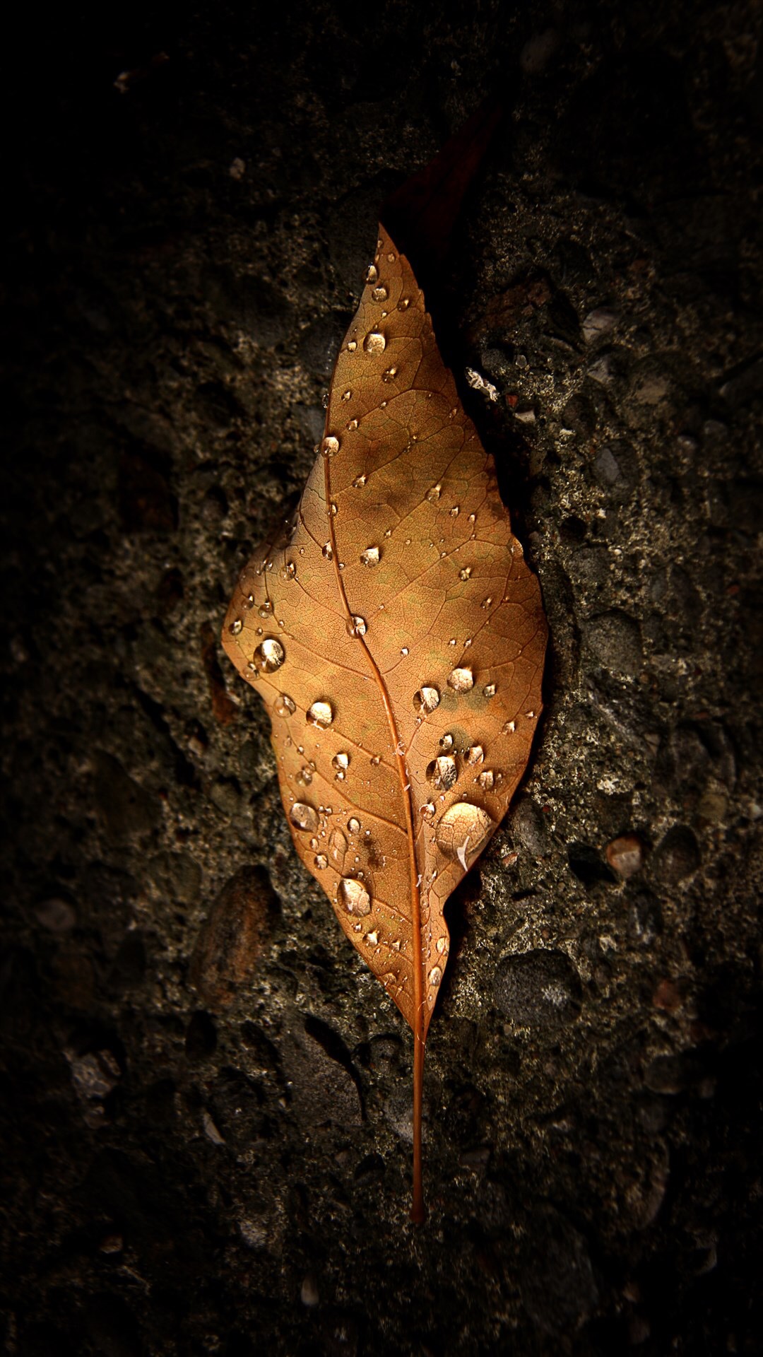 超清商务人士专用壁纸图片大全,商务质感手机壁纸超清全面屏