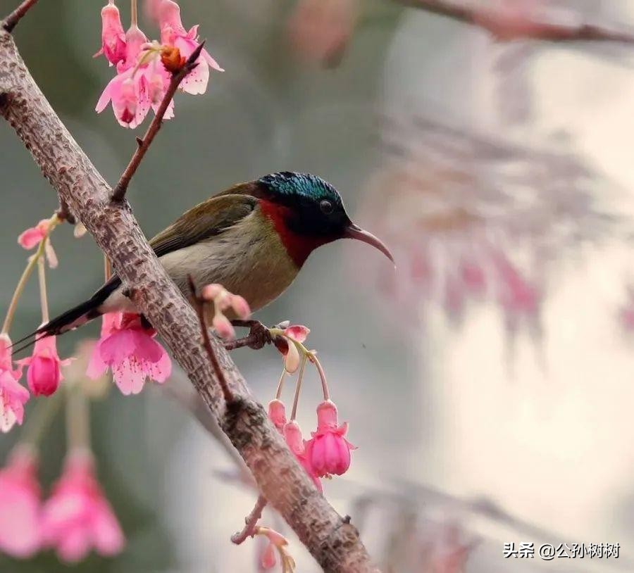 楼下邻居精神不好怎么办,楼下住了神经衰弱的邻居