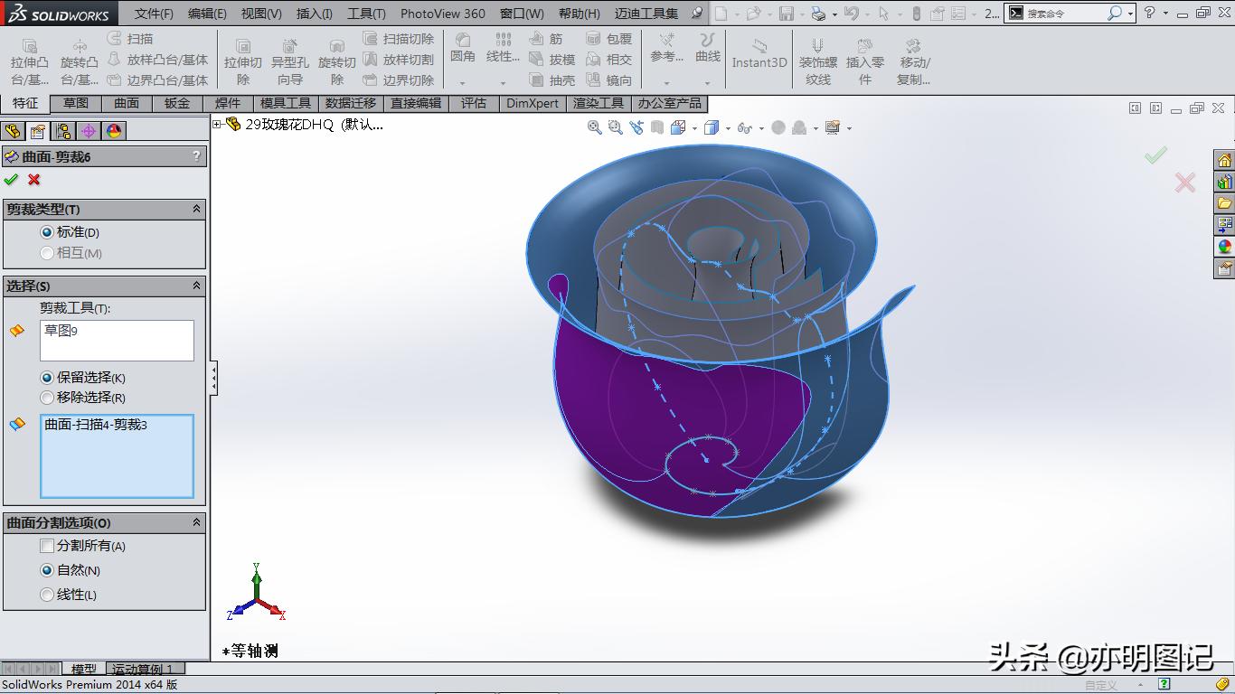 solidworks玫瑰花建模教程,玫瑰花建模solidworks尺寸图