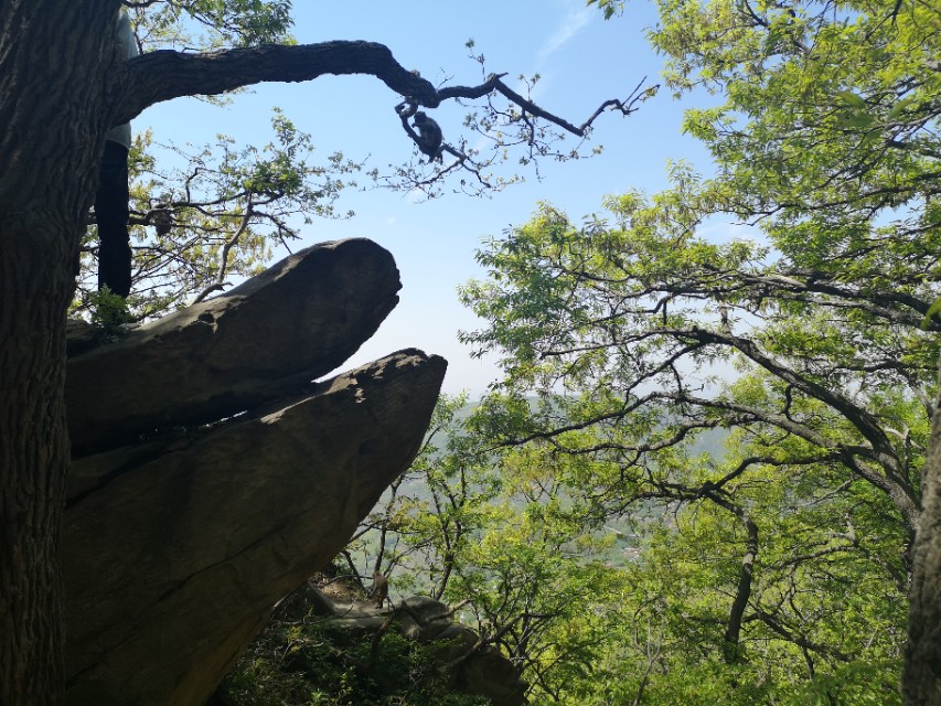 孙悟空的旅游胜地在什么地方,孙悟空的老家花果山水帘洞