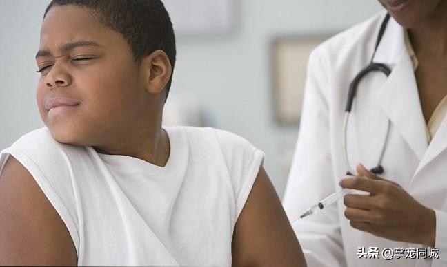 被宠物狗咬伤后的正确处理方法,狗咬伤处理指南