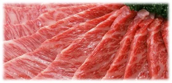 关于新西兰技术移民,关于新西兰的视频